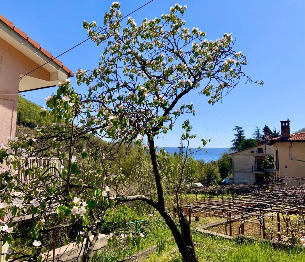 Villa Flamingo Mošćenička Draga Eksteriør billede
